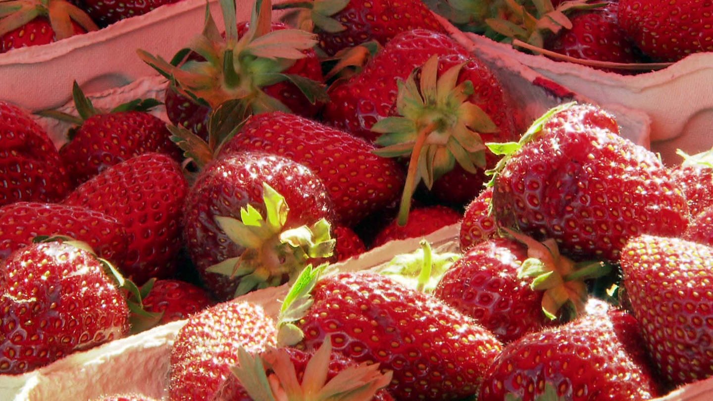 Erdbeeren (Foto: SWR)