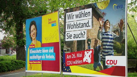 Europawahl: Wahlplakate (Foto: SWR)