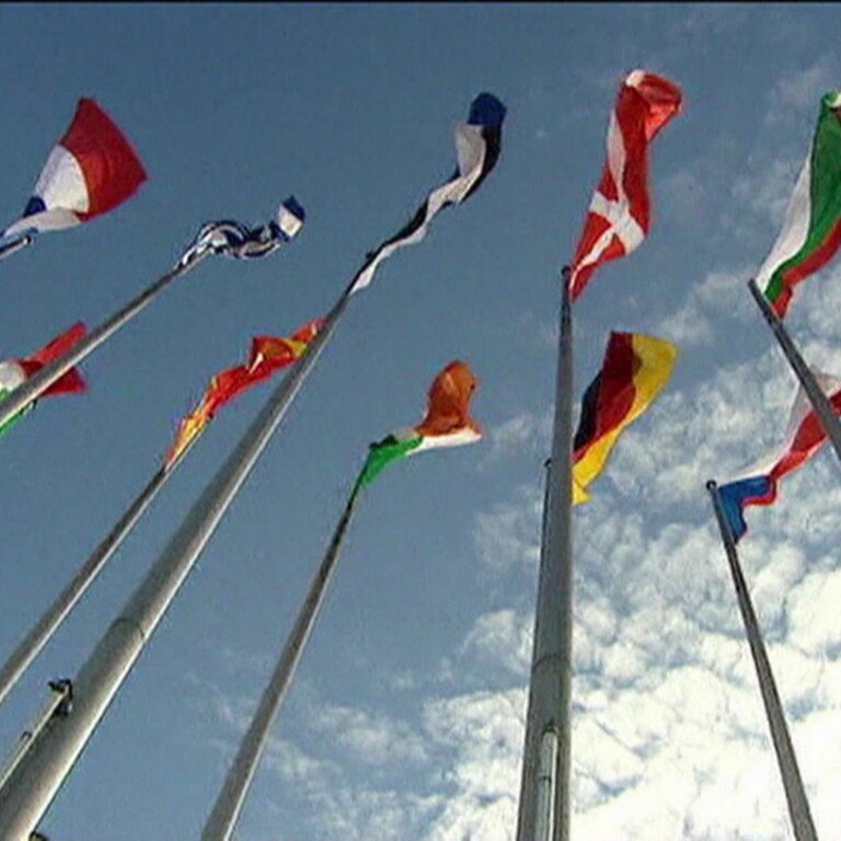 Flaggen der EU-Nationen wehen vor dem Europa-Parlament in Brüssel (Foto: SWR)