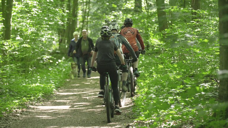 Waldweg, Fußgänger und Mountainbike-Fahrer begegnen sich
