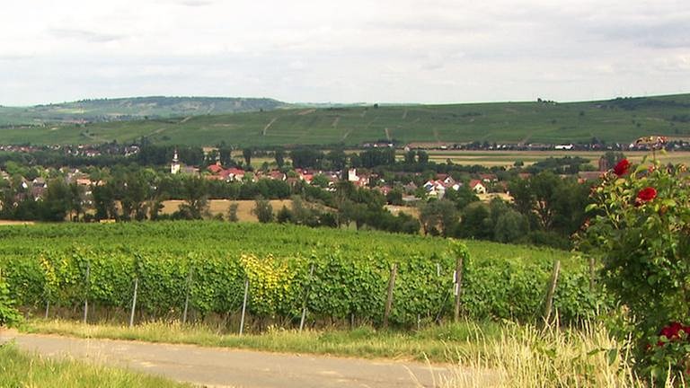 Ortsansicht von Bretzenheim (Foto: SWR, SWR -)
