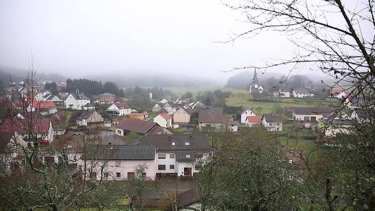 Berglangenbach Ortsansicht (Foto: SWR, SWR -)