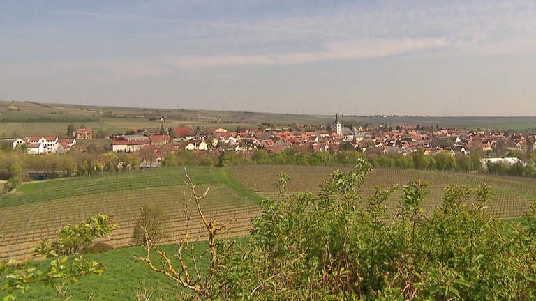 Hierzuland Ortsansicht Westhofen (Foto: SWR)