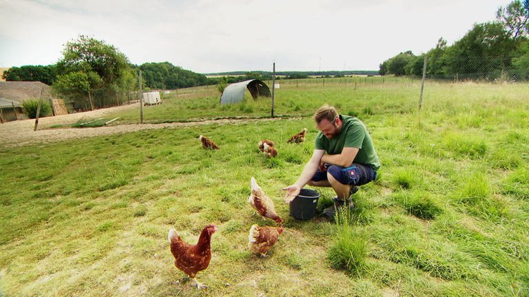 Steinbach - Hühner füttern auf der Weide (Foto: SWR)
