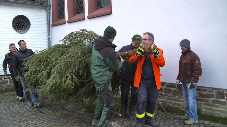 Hierzuland Reidenhausen Weihnachtsbaum aufstellen (Foto: SWR)