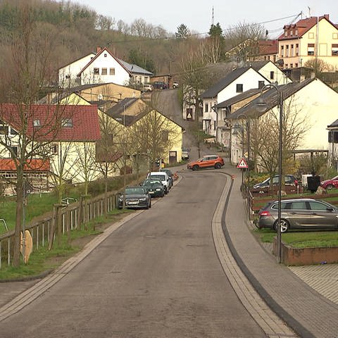 HZL, Franzenheim, Trierer Straße (Foto: SWR)