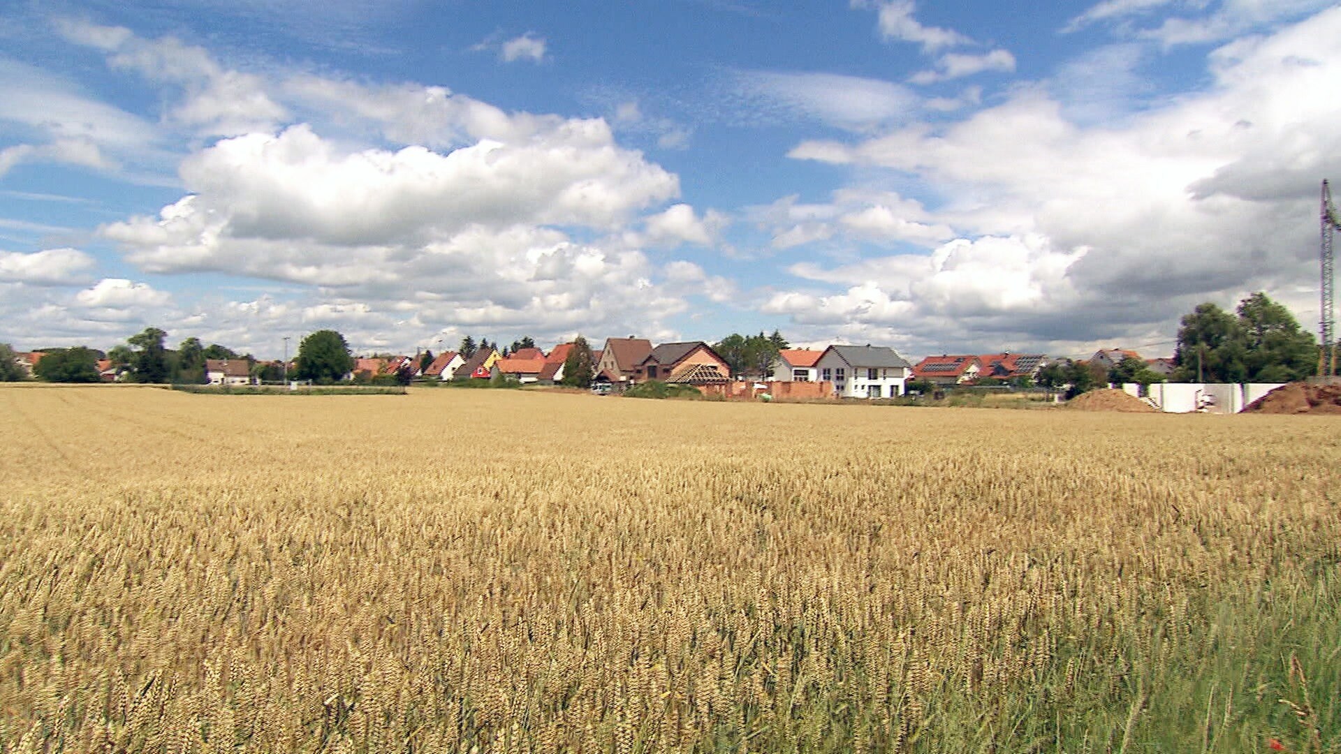 Dammheim Landesschau Rheinland Pfalz Swr Fernsehen