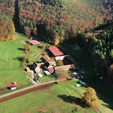 Bärenbrunnerhof - Ansicht von oben (Foto: SWR)