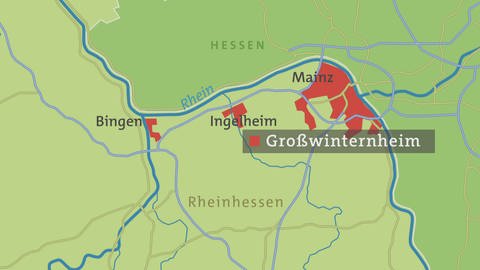 HZL, Großwinternheim, Oberhofstraße, Karte (Foto: SWR)