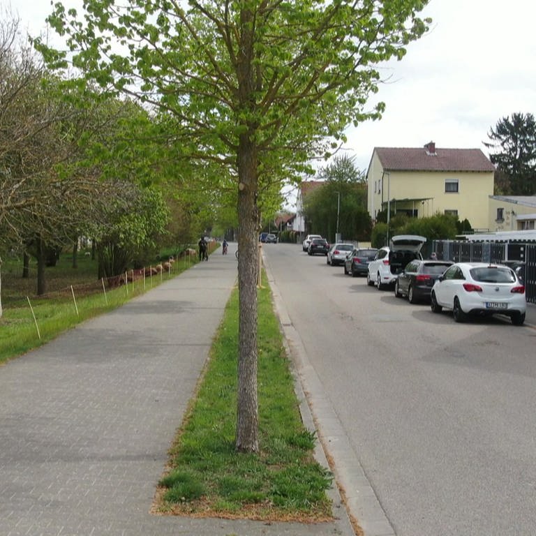 Hierzuland Saulheim Ritter-Hundt-Straße (Foto: SWR)