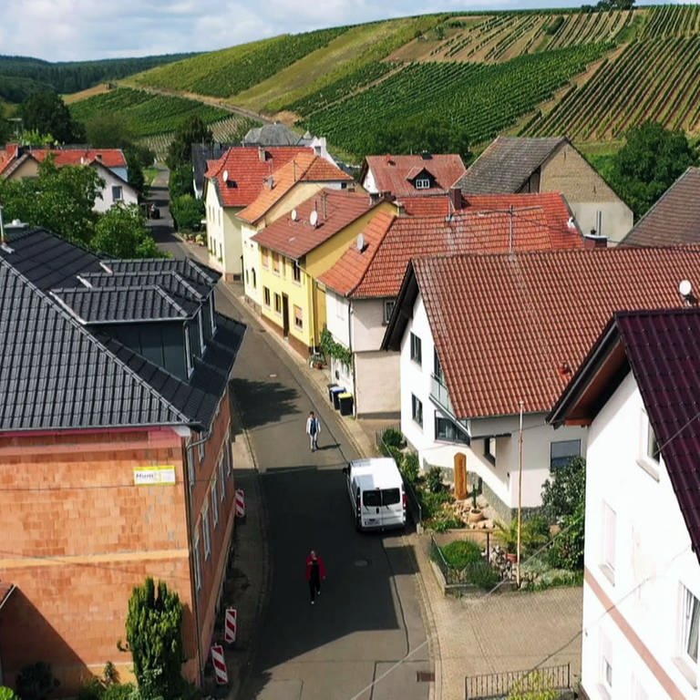 Weinbergsstraße in Sommerloch (Foto: SWR)