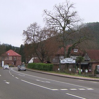 hzl-reichenbach (Foto: SWR)