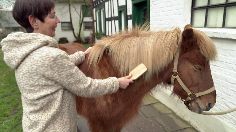 Hierzuland Germscheid, Frau striegelt Pony (Foto: SWR)
