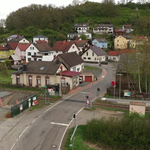 hzl-hirschhorn (Foto: SWR)