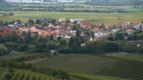 Horrweiler-Ortsbild (Foto: SWR, SWR -)