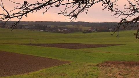 Blick auf den Ort Hasselbach (Foto: SWR, SWR -)