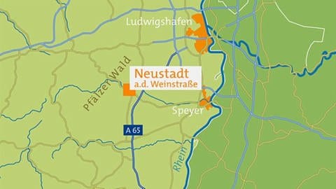 Karte von Neustadt a.d. Weinstraße (Foto: SWR, SWR -)