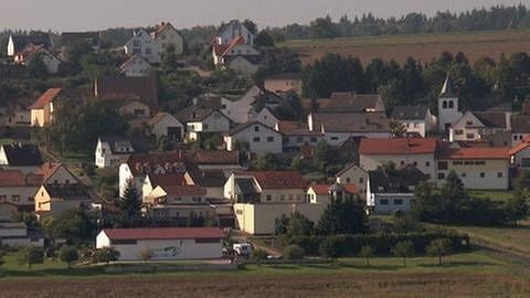 Blick auf den Ort Dorsheim. (Foto: SWR, SWR -)