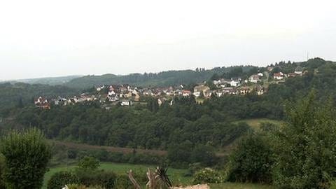 Blick auf Sonnenberg-Winnenberg (Foto: SWR, SWR -)