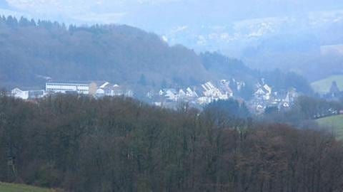 Blick auf Herschweiler-Pettersheim (Foto: SWR, SWR -)