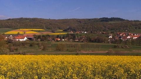 Blick auf Dennweiler-Frohnbach (Foto: SWR, SWR -)