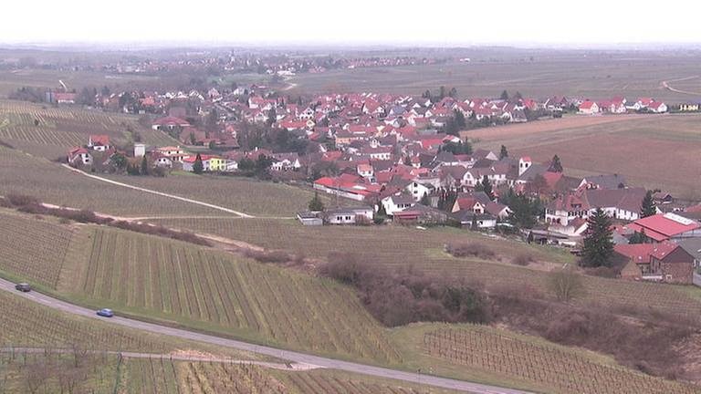 Kleinkarlbach liegt in der Vorderpfalz und ist von Wald und Weinbergen umgeben (Foto: SWR, SWR -)