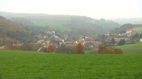 Blick auf den Ort Finkenbach-Gersweiler. (Foto: SWR, SWR -)