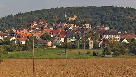 Blick auf Neu-Bamberg (Foto: SWR, SWR -)