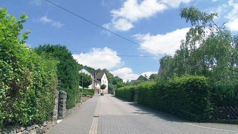 Ruppach-Goldhausen - Mühlenweg (Foto: SWR, SWR -)