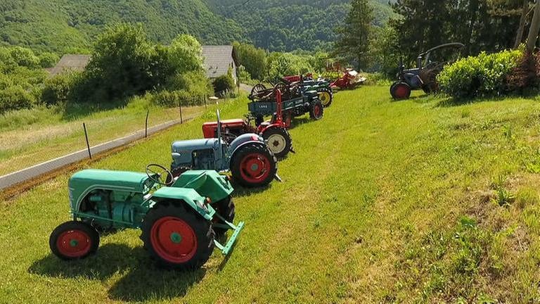 restaurierte Traktoren (Foto: SWR, SWR -)