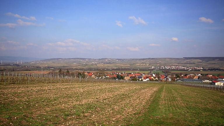 Biebelsheim (Foto: SWR, SWR -)