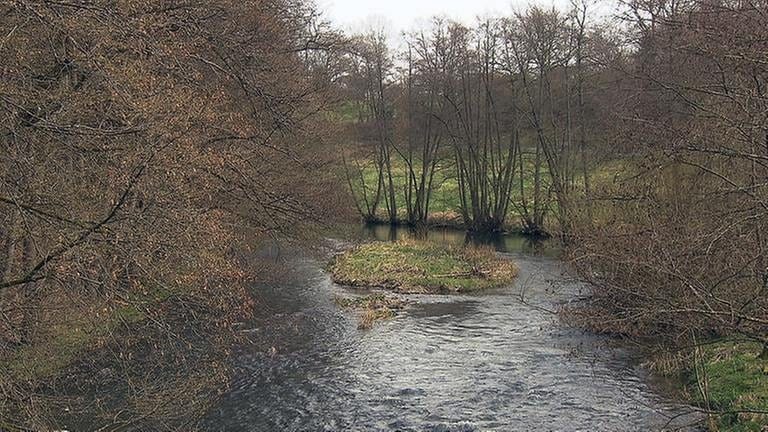 Die Nister fließt in einer Schleife um das Dorf. (Foto: SWR, SWR -)