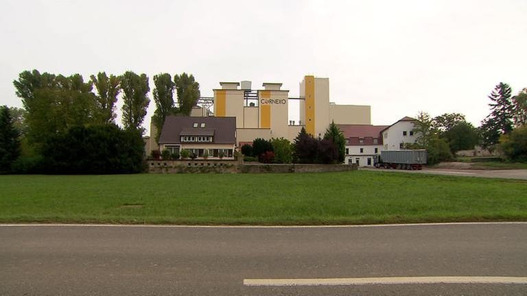 Freimersheimer Mühle (Foto: SWR, SWR -)