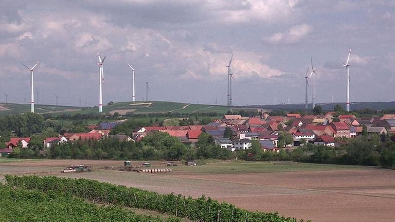 Eckelsheim (Foto: SWR, SWR -)