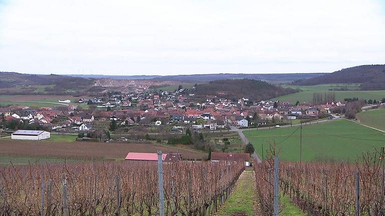 Ortsansicht von Frei-Laubersheim (Foto: SWR, SWR -)