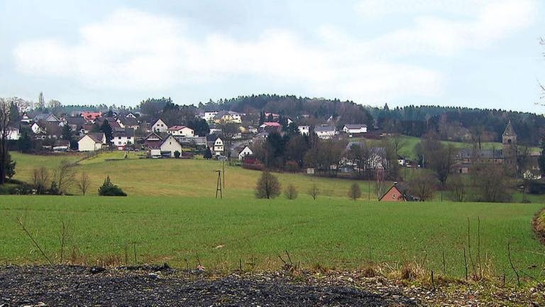 Birnbach - Ortsansicht (Foto: SWR, SWr -)