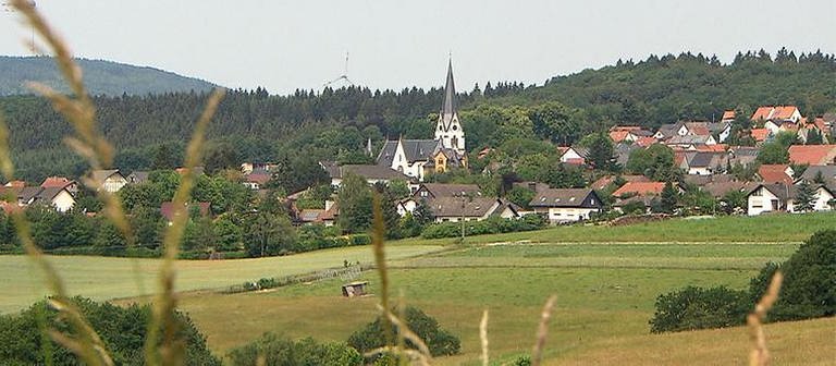 Ortsansicht von Daxweiler (Foto: SWR, SWR -)