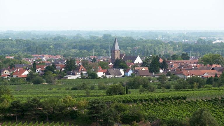 Ortsansicht von Mußbach (Foto: SWR, SWR -)