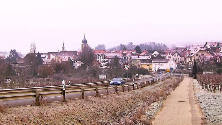 Ortsansicht von Leistadt (Foto: SWR, SWR -)