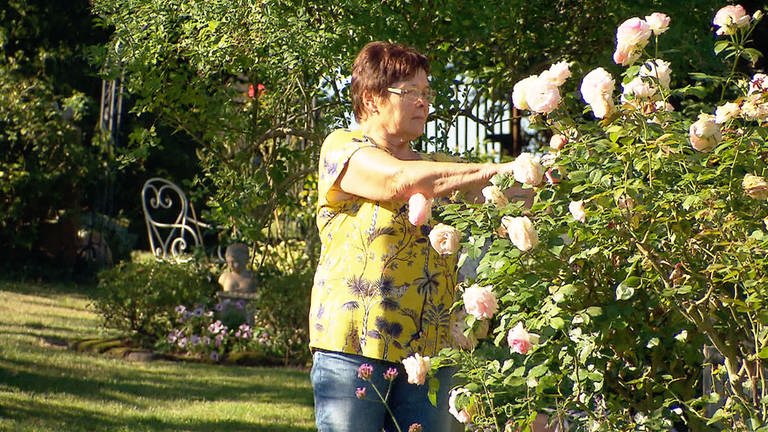 Klingen  - Margit Pfalzgraf und ihre Rosen (Foto: SWR)
