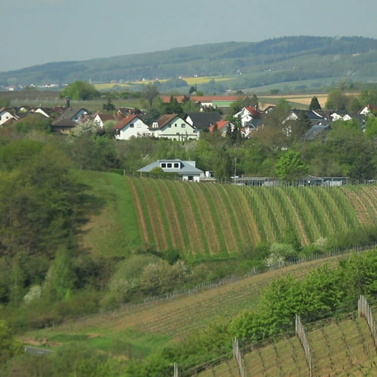 Hierzuland Rümmelsheim Ortsansicht (Foto: SWR)