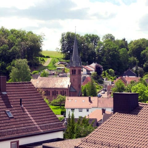 Ortsansicht Erlenbach (Foto: SWR)