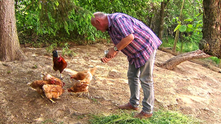 Hierzuland Buborn, Mann füttert Hühner (Foto: SWR)