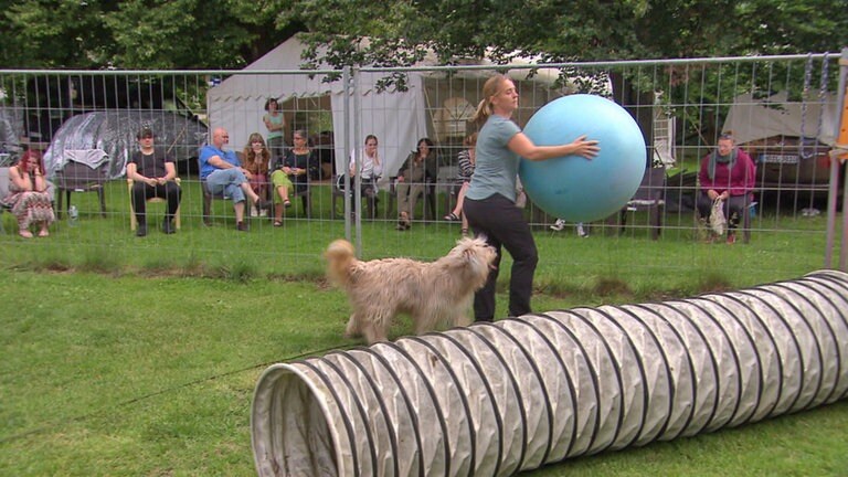 Hierzuland Niederwambach Hundedressurplatz (Foto: SWR)