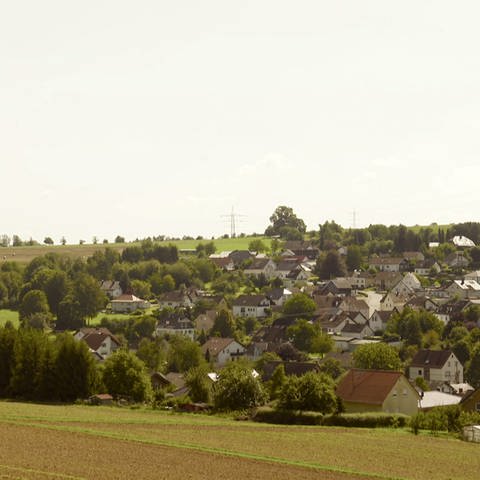 Ortsansicht Niederhofen (Foto: SWR)