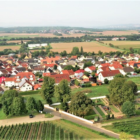 Welgesheim Ortsansicht (Foto: SWR)