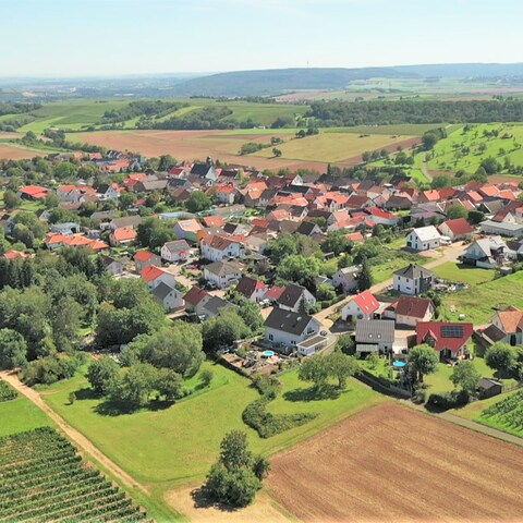 Braunweiler Ortsansicht (Foto: SWR)