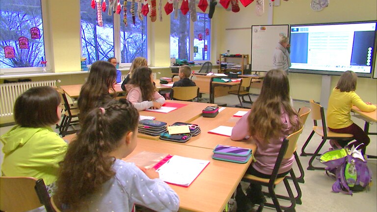 Arzbach Schulklasse (Foto: SWR)