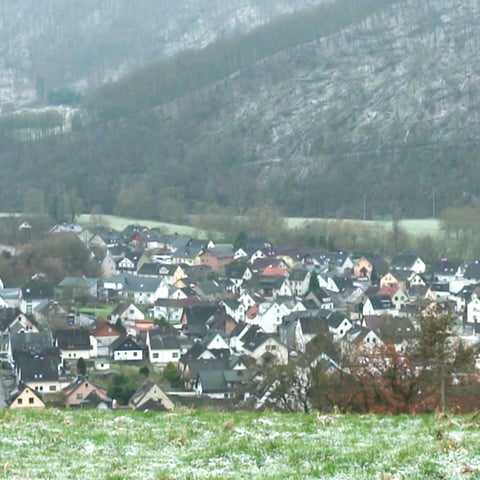 Niederbreitbach Ortsansicht (Foto: SWR)