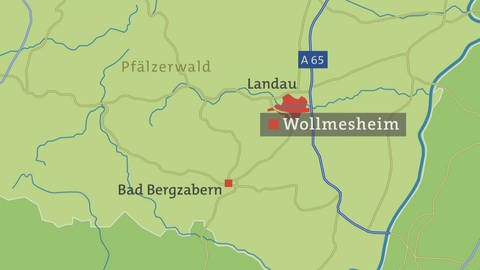 Karte von Wollmesheim (Foto: SWR)